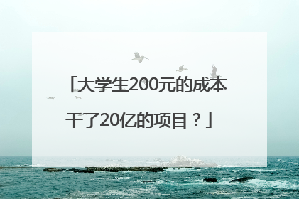 大学生200元的成本干了20亿的项目？