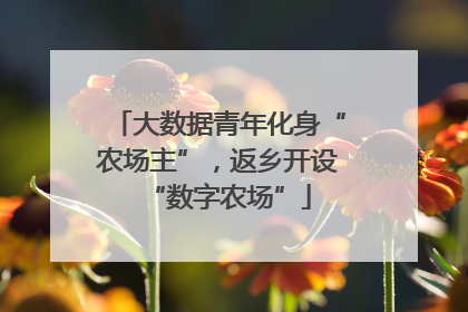 大数据青年化身“农场主”，返乡开设“数字农场”