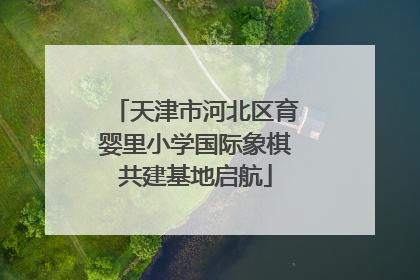 天津市河北区育婴里小学国际象棋共建基地启航