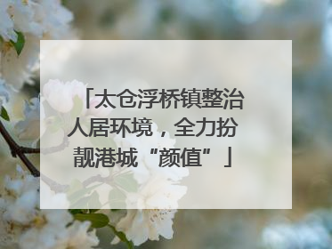 太仓浮桥镇整治人居环境，全力扮靓港城“颜值”