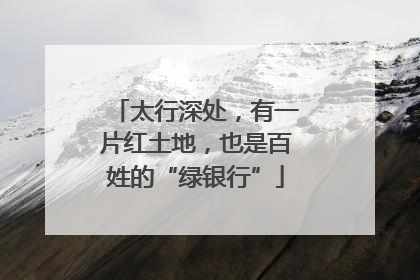 太行深处，有一片红土地，也是百姓的“绿银行”