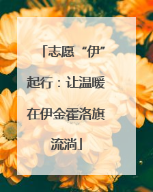 志愿“伊”起行：让温暖在伊金霍洛旗流淌
