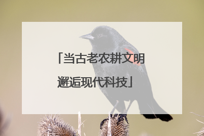 当古老农耕文明邂逅现代科技