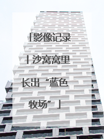 影像记录丨沙窝窝里长出“蓝色牧场”