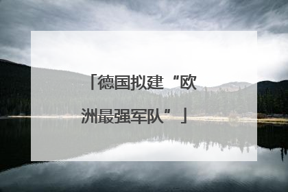 德国拟建“欧洲最强军队”