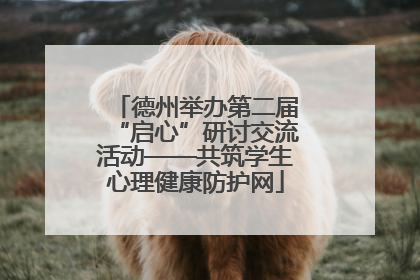 德州举办第二届“启心”研讨交流活动——共筑学生心理健康防护网