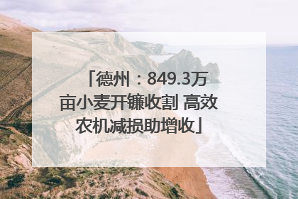 德州：849.3万亩小麦开镰收割 高效农机减损助增收
