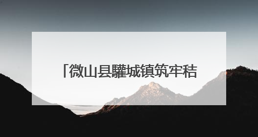 微山县驩城镇筑牢秸秆禁烧“防护网”