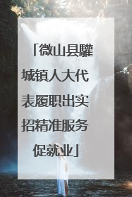 微山县驩城镇人大代表履职出实招精准服务促就业