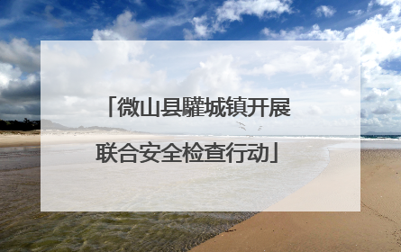 微山县驩城镇开展联合安全检查行动
