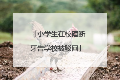小学生在校磕断牙告学校被驳回