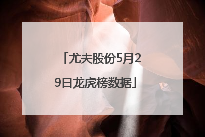 尤夫股份5月29日龙虎榜数据