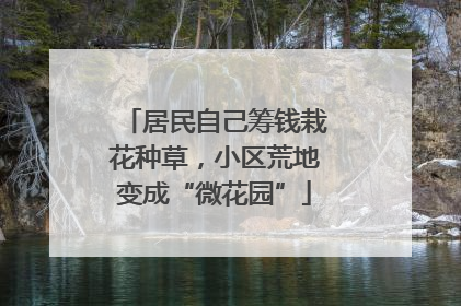 居民自己筹钱栽花种草，小区荒地变成“微花园”