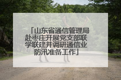 山东省通信管理局赴枣庄开展党支部联学联建并调研通信业防汛准备工作
