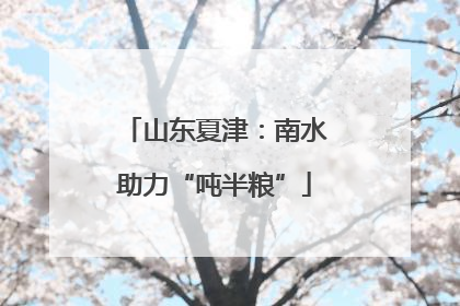山东夏津：南水助力“吨半粮”