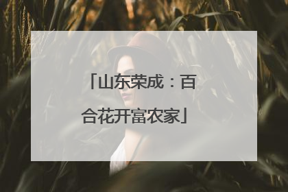 山东荣成：百合花开富农家
