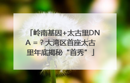 岭南基因+太古里DNA =？大湾区首座太古里年底揭秘“首秀”