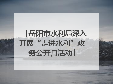岳阳市水利局深入开展“走进水利”政务公开月活动