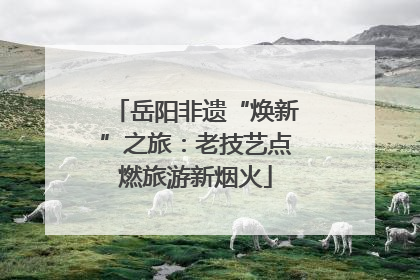岳阳非遗“焕新”之旅：老技艺点燃旅游新烟火