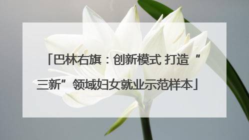巴林右旗：创新模式 打造“三新”领域妇女就业示范样本