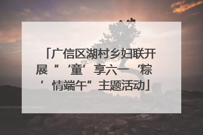 广信区湖村乡妇联开展“‘童’享六一‘粽’情端午”主题活动
