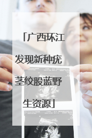 广西环江发现新种疣茎绞股蓝野生资源