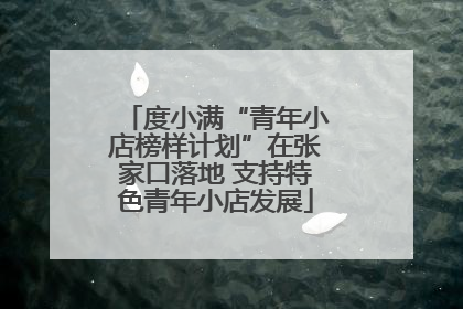 度小满“青年小店榜样计划”在张家口落地 支持特色青年小店发展