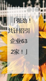 强劲！共计招引企业632家！