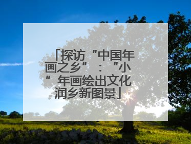 探访“中国年画之乡”：“小”年画绘出文化润乡新图景