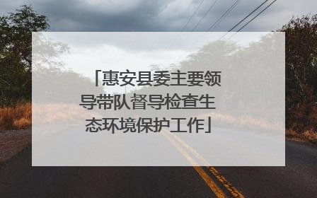 惠安县委主要领导带队督导检查生态环境保护工作