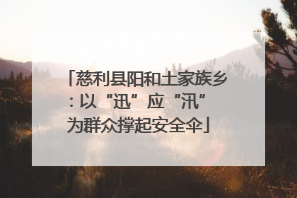 慈利县阳和土家族乡：以“迅”应“汛” 为群众撑起安全伞