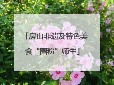 房山非遗及特色美食“圈粉”师生