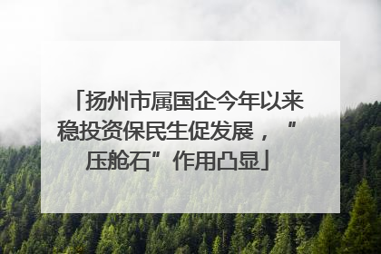 扬州市属国企今年以来稳投资保民生促发展，“压舱石”作用凸显