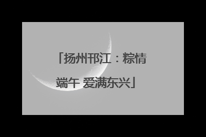 扬州邗江：粽情端午 爱满东兴