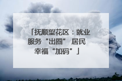 抚顺望花区：就业服务“出圈” 居民幸福“加码”