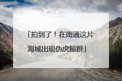 拍到了！在南通这片海域出现伪虎鲸群