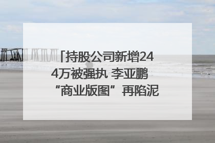 持股公司新增244万被强执 李亚鹏“商业版图”再陷泥潭？｜科技观察