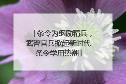 条令为纲励精兵，武警官兵掀起新时代条令学用热潮