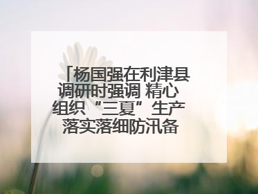杨国强在利津县调研时强调 精心组织“三夏”生产 落实落细防汛备汛工作
