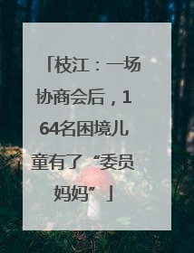 枝江：一场协商会后，164名困境儿童有了“委员妈妈”