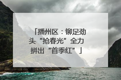 播州区：铆足劲头“抢春光”全力拼出“首季红”