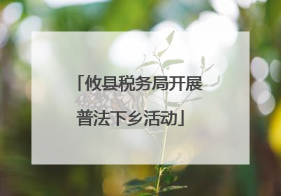 攸县税务局开展普法下乡活动
