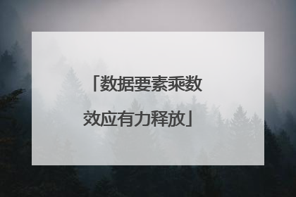 数据要素乘数效应有力释放