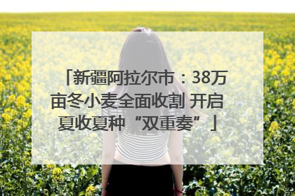 新疆阿拉尔市：38万亩冬小麦全面收割 开启夏收夏种“双重奏”