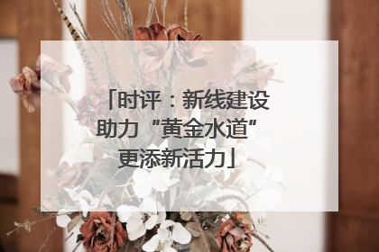 时评：新线建设助力“黄金水道”更添新活力