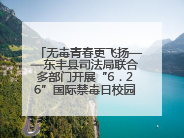 无毒青春更飞扬——东丰县司法局联合多部门开展“6．26”国际禁毒日校园宣讲活动