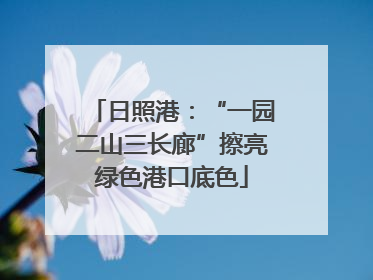 日照港：“一园二山三长廊”擦亮绿色港口底色