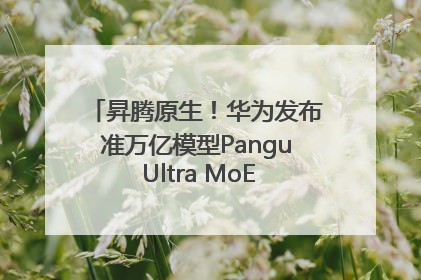 昇腾原生！华为发布准万亿模型Pangu Ultra MoE模型架构和训练细节