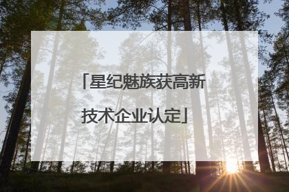 星纪魅族获高新技术企业认定