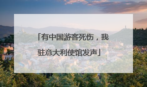 有中国游客死伤，我驻意大利使馆发声
